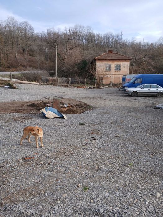 Дава се под наем Парцел в Лом - 600 кв.м за 15.3 € - Снимка #4