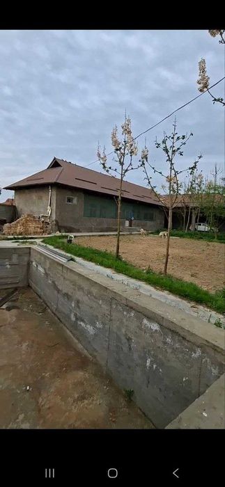 Chorva uchun tayyor molxona, yer,sklad va tayyor uylar