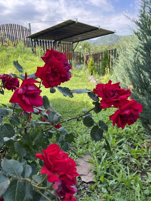 Коттедж в посуточную аренду