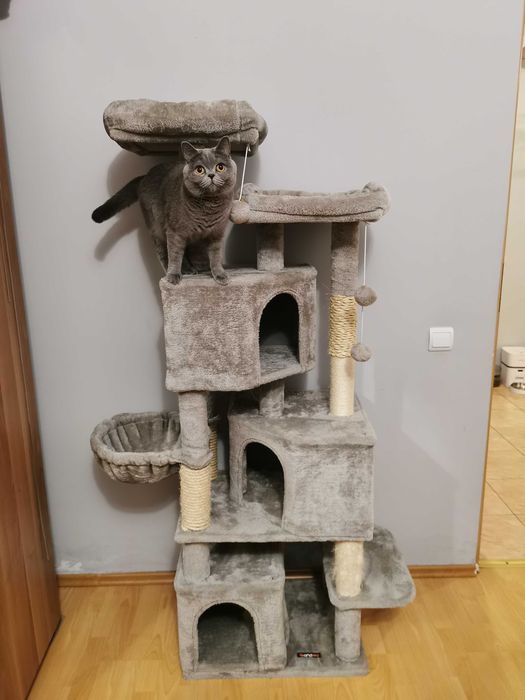 Turn ansamblu de joaca pentru pisici FEANDREA  55x40x164cm