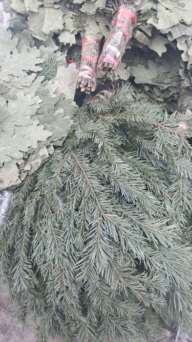 Веники для баня  краснодарскии