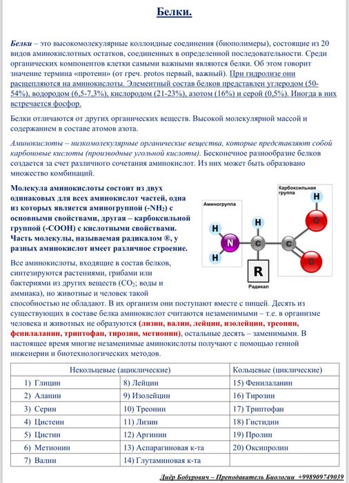 Репетитор по биологии