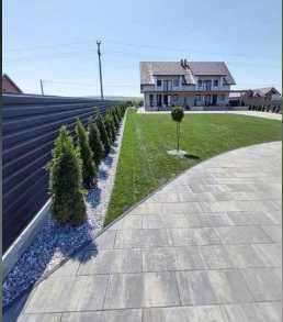 Gazon Rulou Sisteme de irigatii Tuia