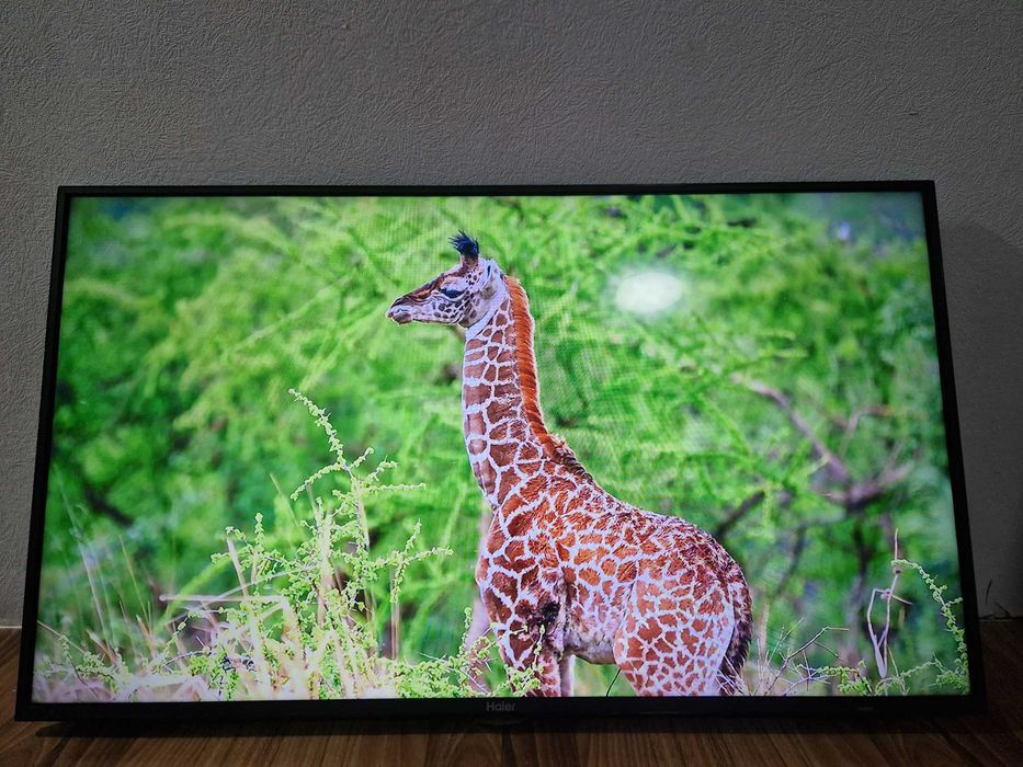 Смарт телевизор Haier Диагональ 43 дюм 108см