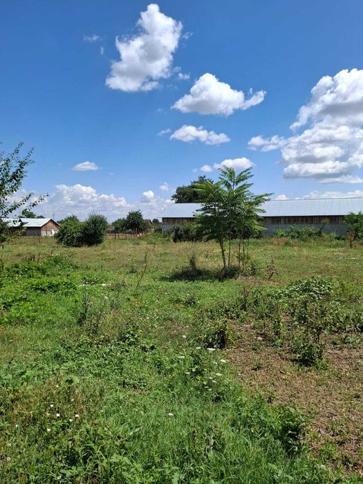 Casa de vanzare si teren Caracal, Jud Olt