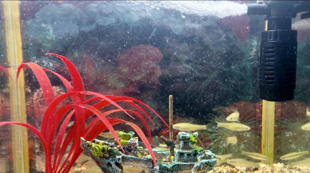 Аквариум с рыбками, все в комплекте