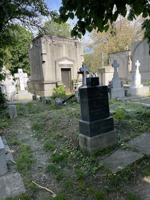 Loc de Veci Cimitirul  Sf Vineri Cal Grivitei