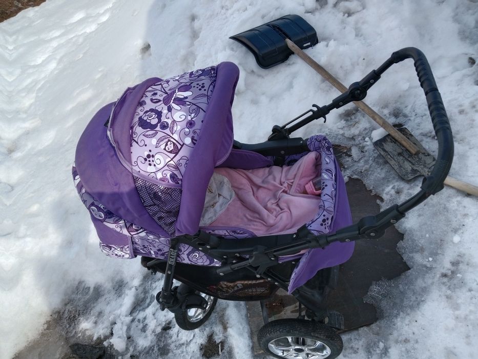 Породом каляска  .