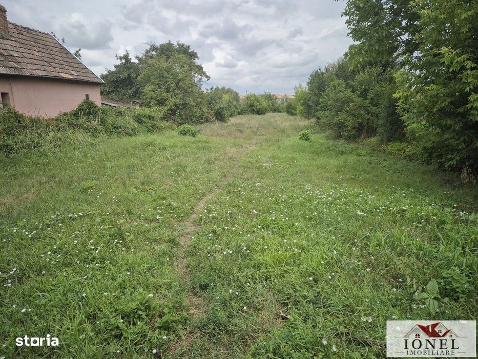 Vanzare doua parcele de teren in Craciunelu de Jos