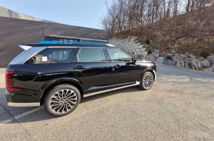 Hyundai Palisade Calligraphy!