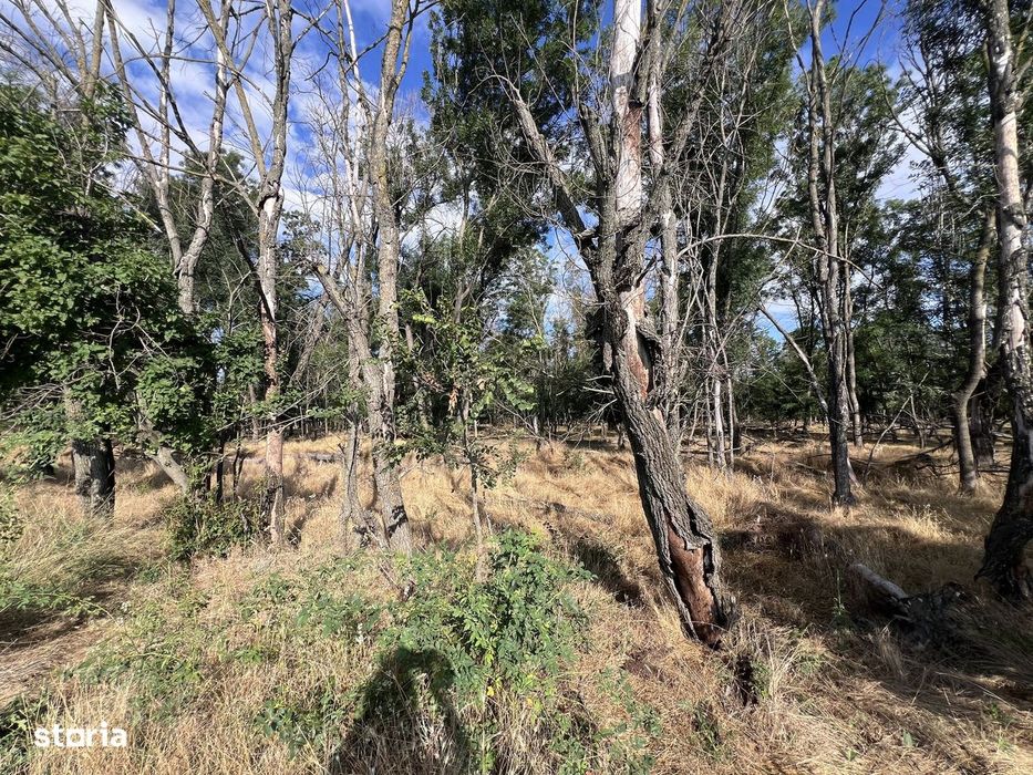Teren intravilan, 4700 mp, dublu front stradal, la marginea Pădurii Co