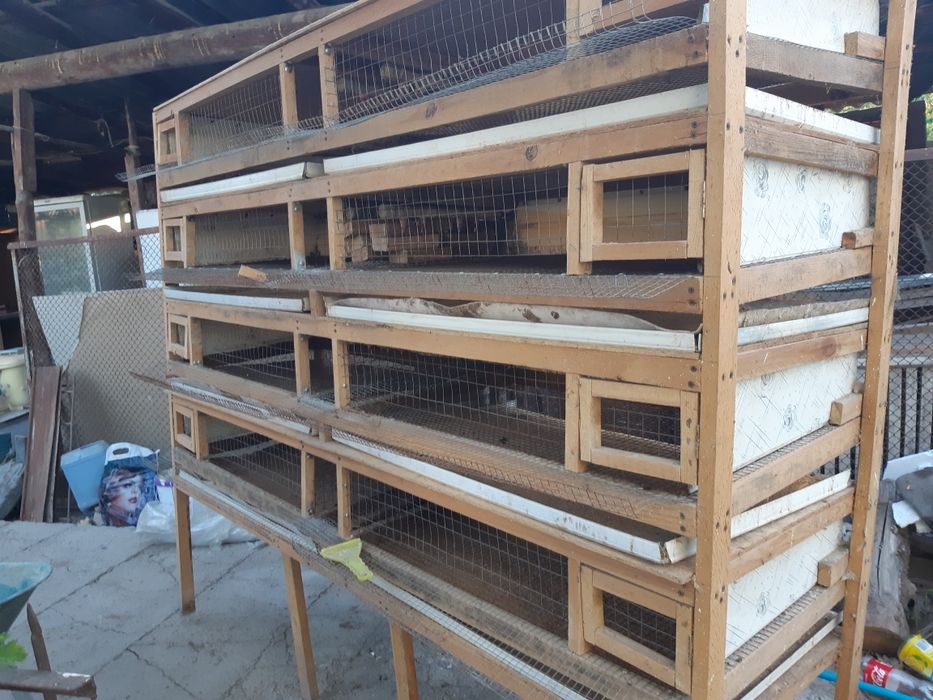 Клетки для перепелок