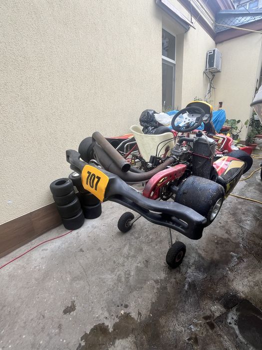 Vand kart sq racing cu motor rotax senior
