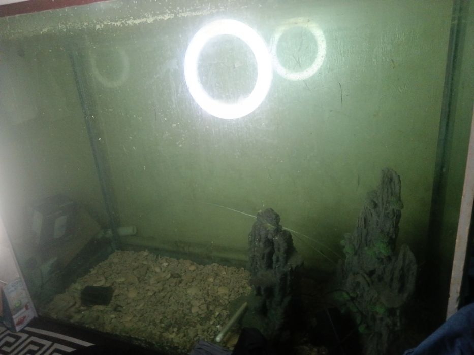 Аквариум 1000 литров