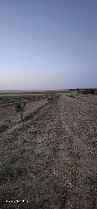 Зудлик билан инвестор кераг