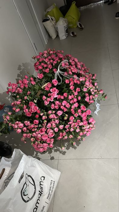 Продам цветы очень красивые