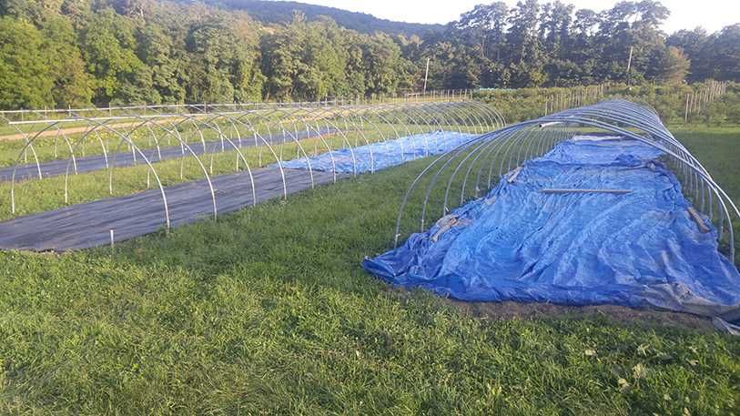 Prelata impermeabila 120 metri patrati, prelata acoperit paie