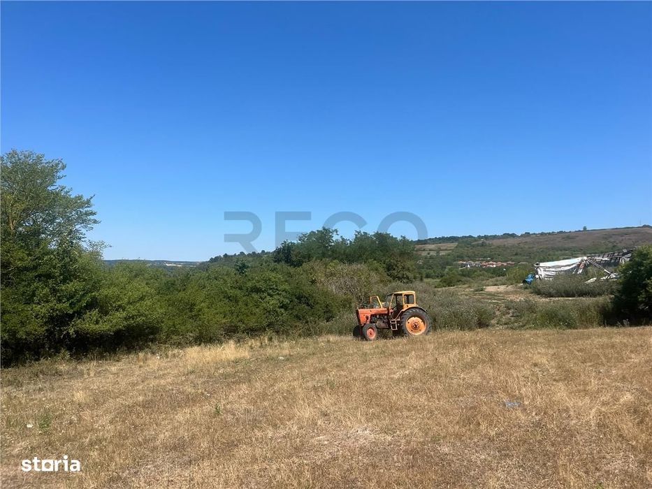 RECO Teren extravilan Holod 27400 mp