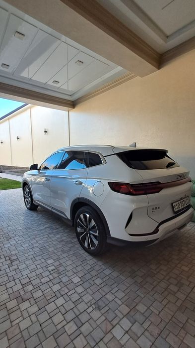 Byd champion 2025/25 fevral oq kraska top toza