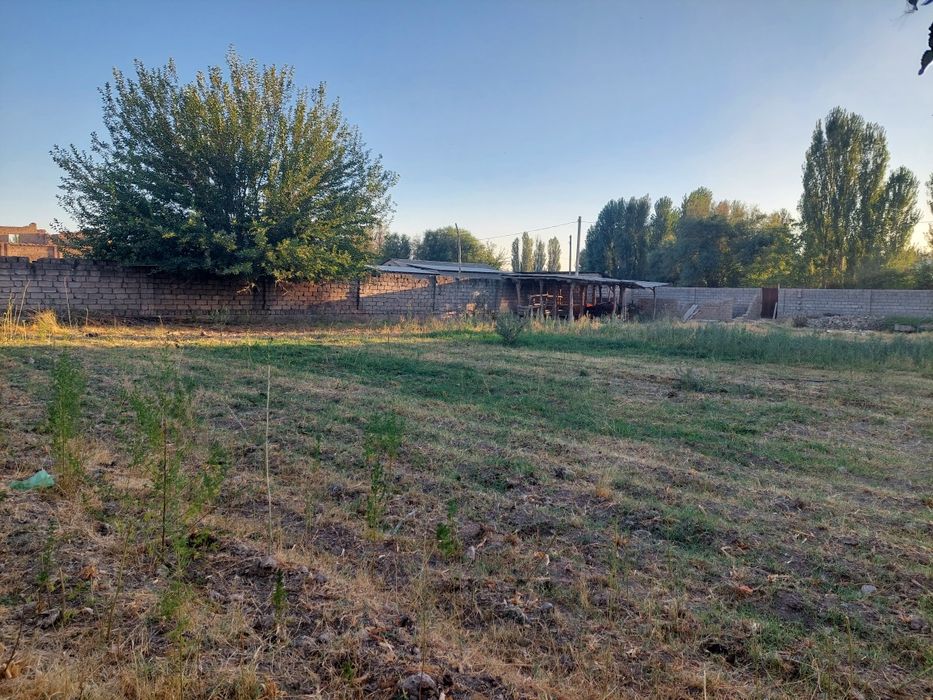 Yer sotladi 10 sotx nurafshon tòytepada