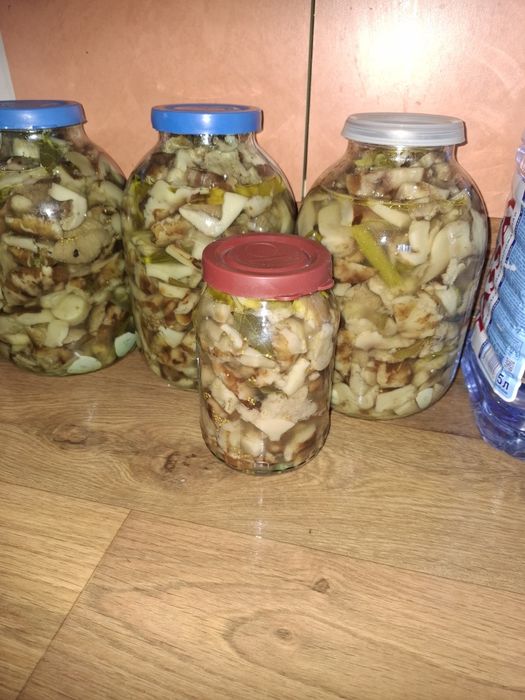 Продам  грибы валуи