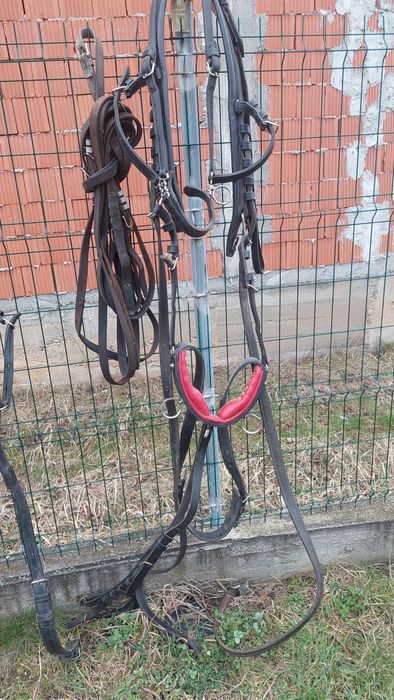 Vând o pereche de hamuri foarte frumoase purtate Foarte puțin