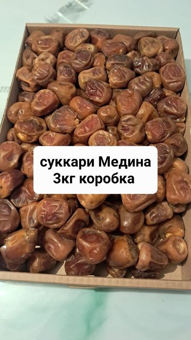 Финики суккари Медина