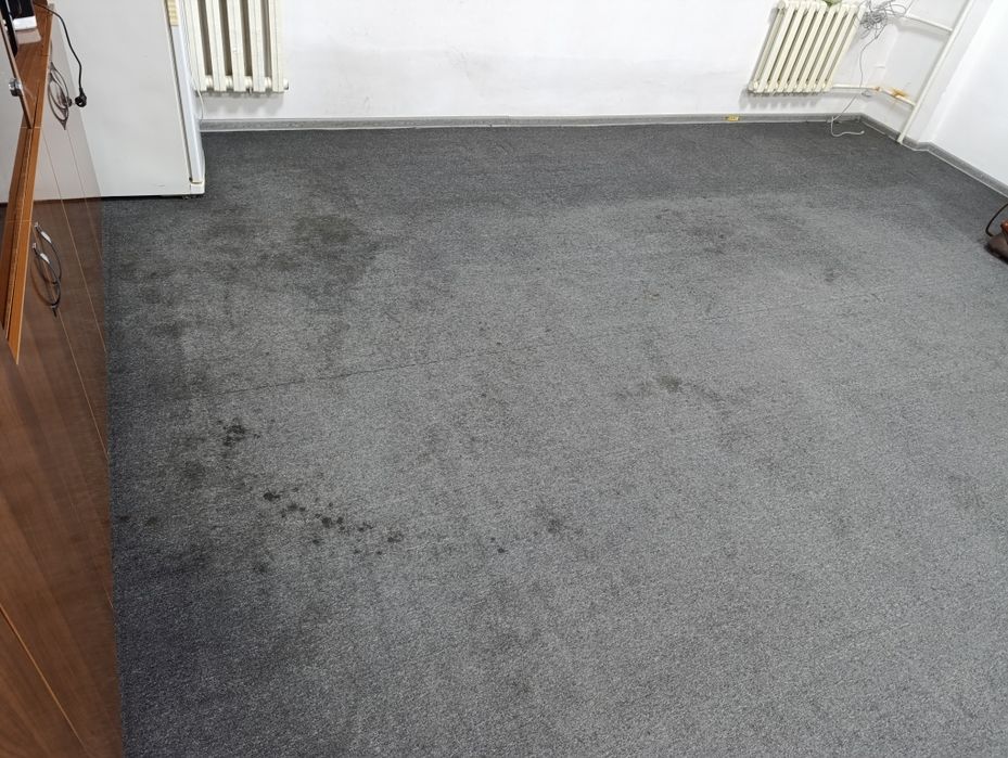 Gilam, parda, jalyuzi, yumshoq mebel va joyida yuvish xizmati