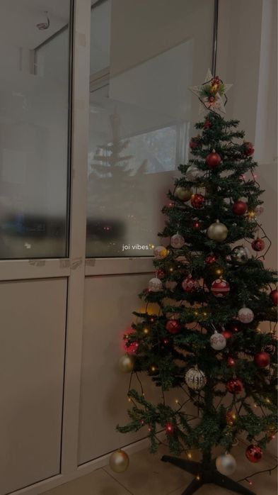 Brad de Craciun - model 2025