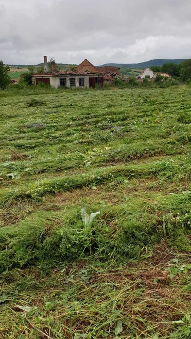 Teren de vanzare intravilan situat in Saschiz la Drumul E60,5,5 € mp.