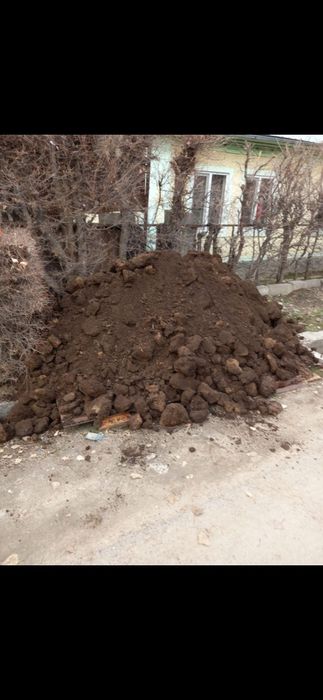 Чернозем , перегной .