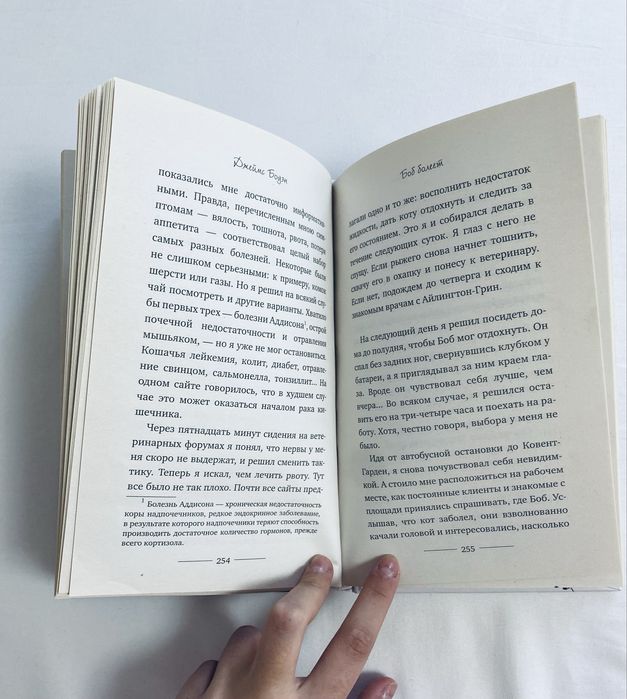 интересная книга «уличный кот по имени боб»