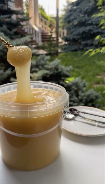 Натуральный мёд,Жантак(Верблюжья колючка)