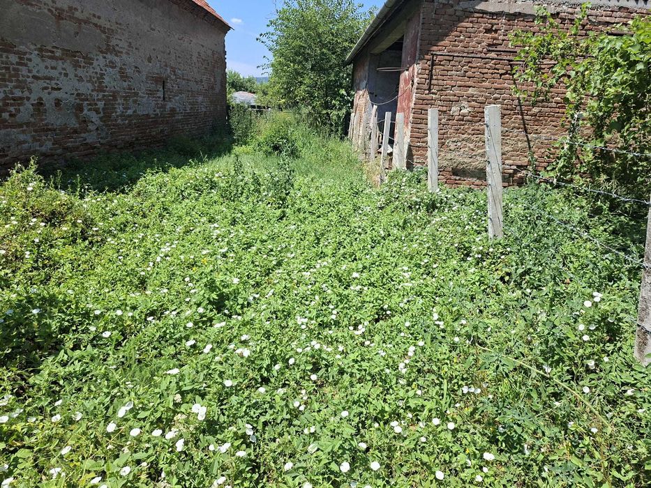 Proprietate 166 mp cu teren de 2.000 mp și toate utilitățile – Sântuhalm