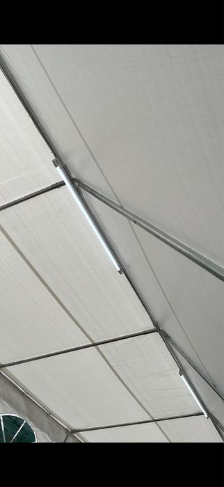 Cort evenimente 8x4 m