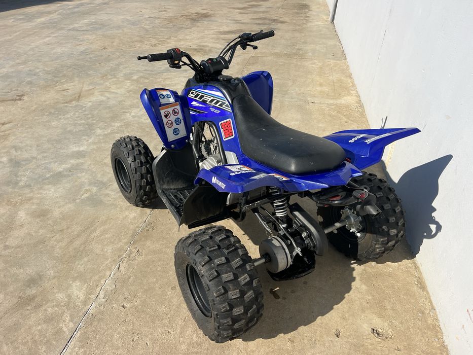 Yamaha Raptor 90