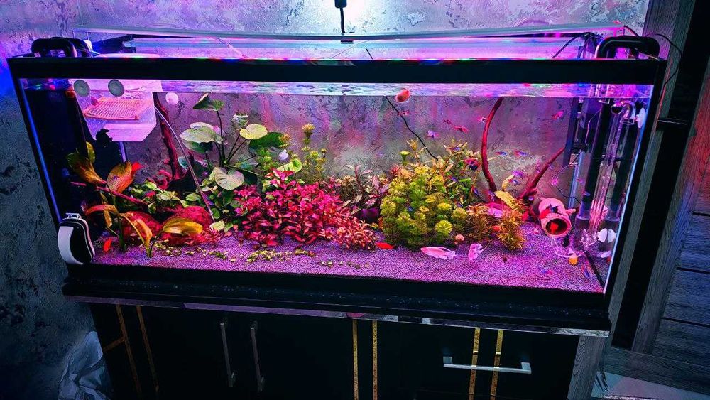 Продается Аквариум с тумбой