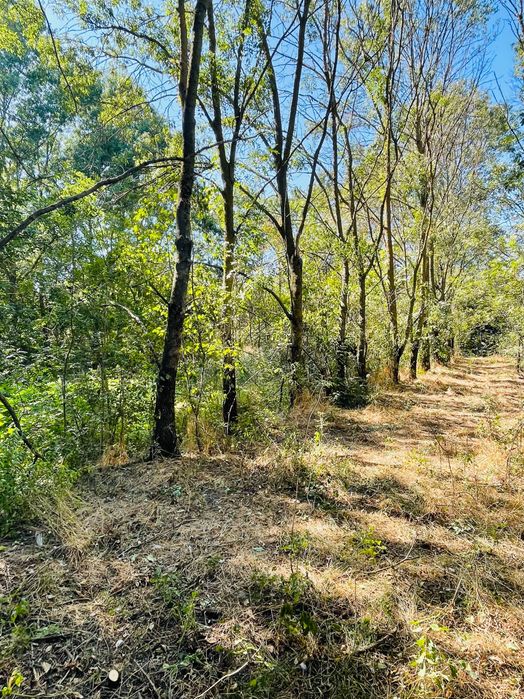 Teren intravilan com Mârzănești sat Valea Parului