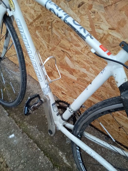 Cursiera specialized dolce