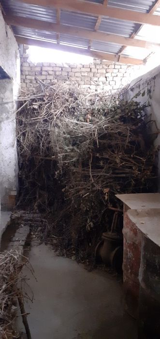 Qishki o'tinlar sotaman