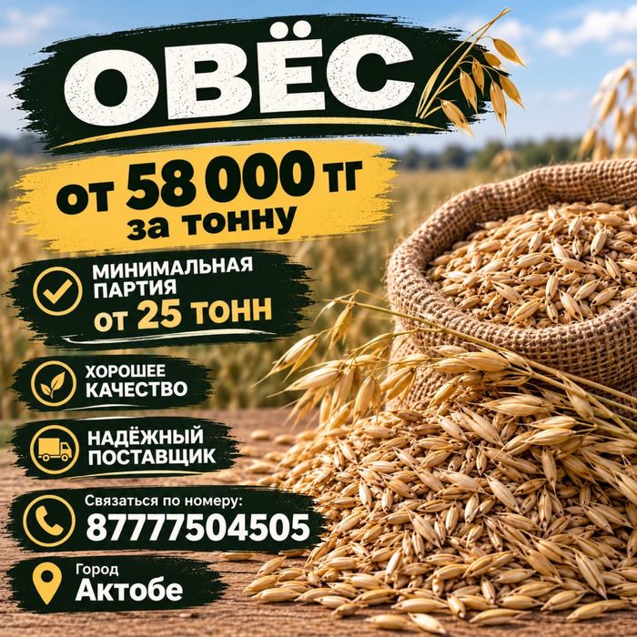 Овёс от 25тонн хорошего качества