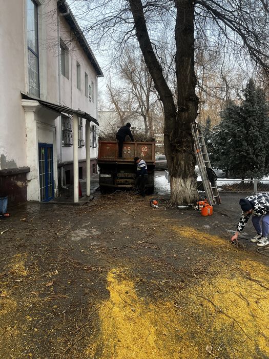 15.000 тенге. Спил деревьев,аварийных деревьев