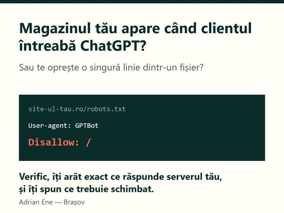 SEO pentru ChatGPT și AI - verific magazinul tău online și îl repar