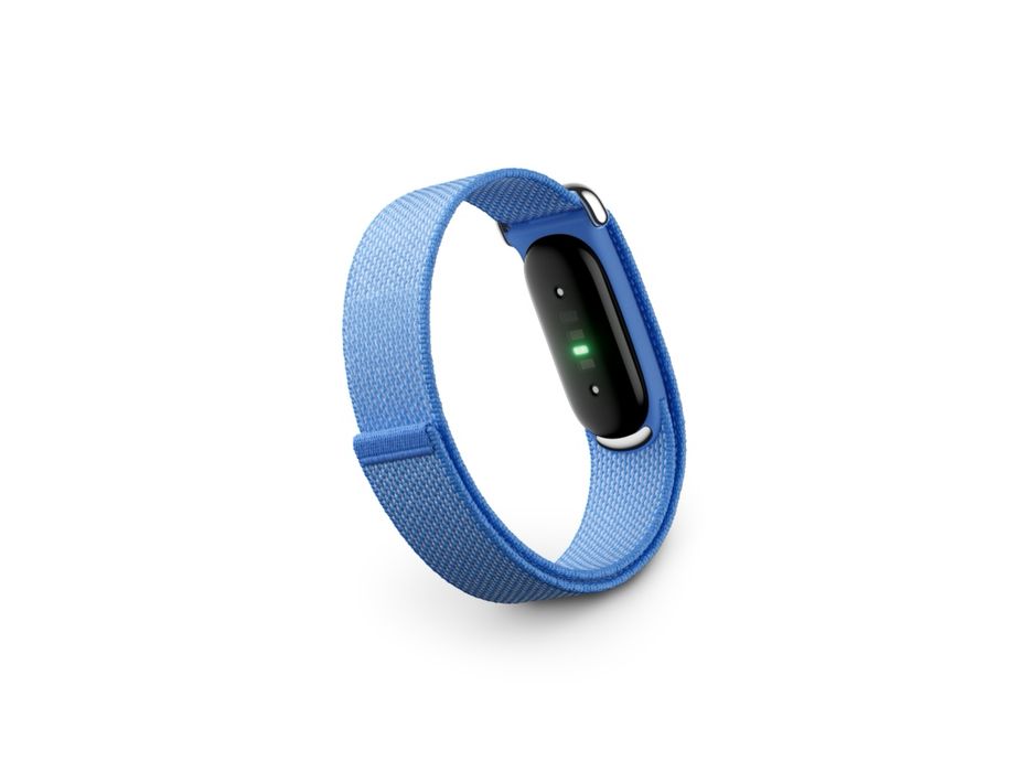 Google FitBit Air (оптом)