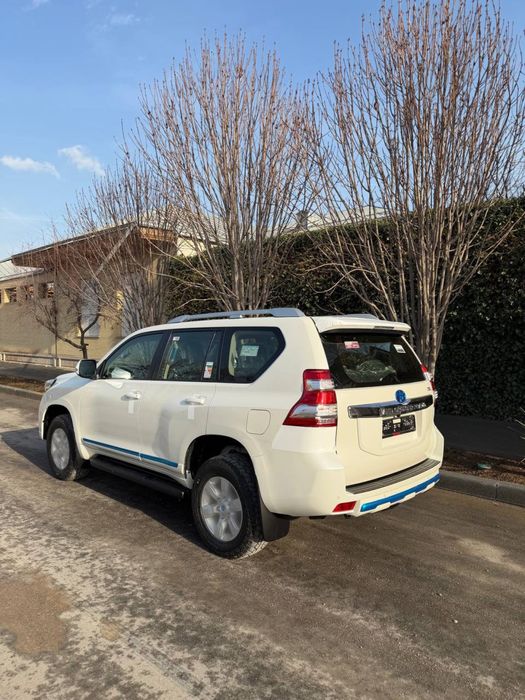 Прадо 150 зуридан