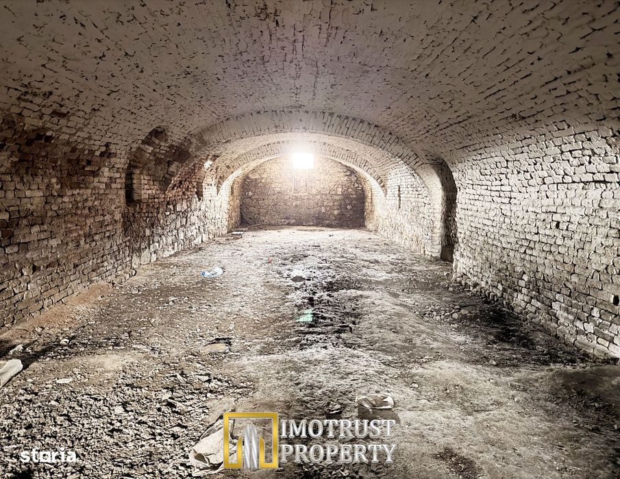 Castel istoric de vânzare în Conop | proprietatea lui Cicio Pop