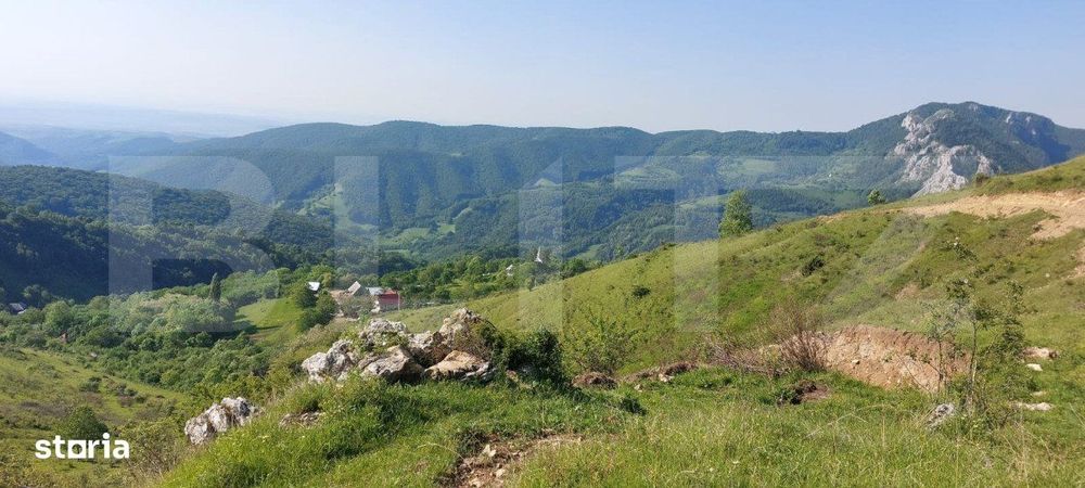 Teren extravilan pentru cabana, 3800 mp, zona-Ramet Transapuseana