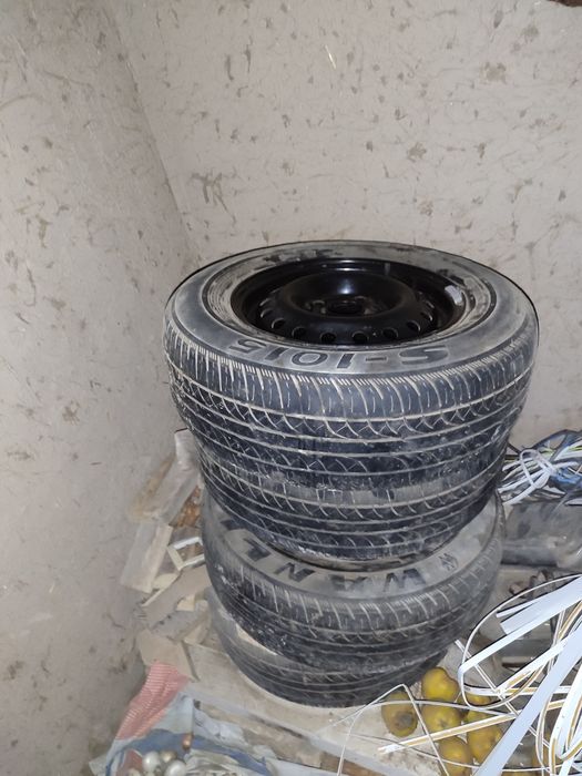 13 Diska bolonlori bilan sotilodi 4 dono