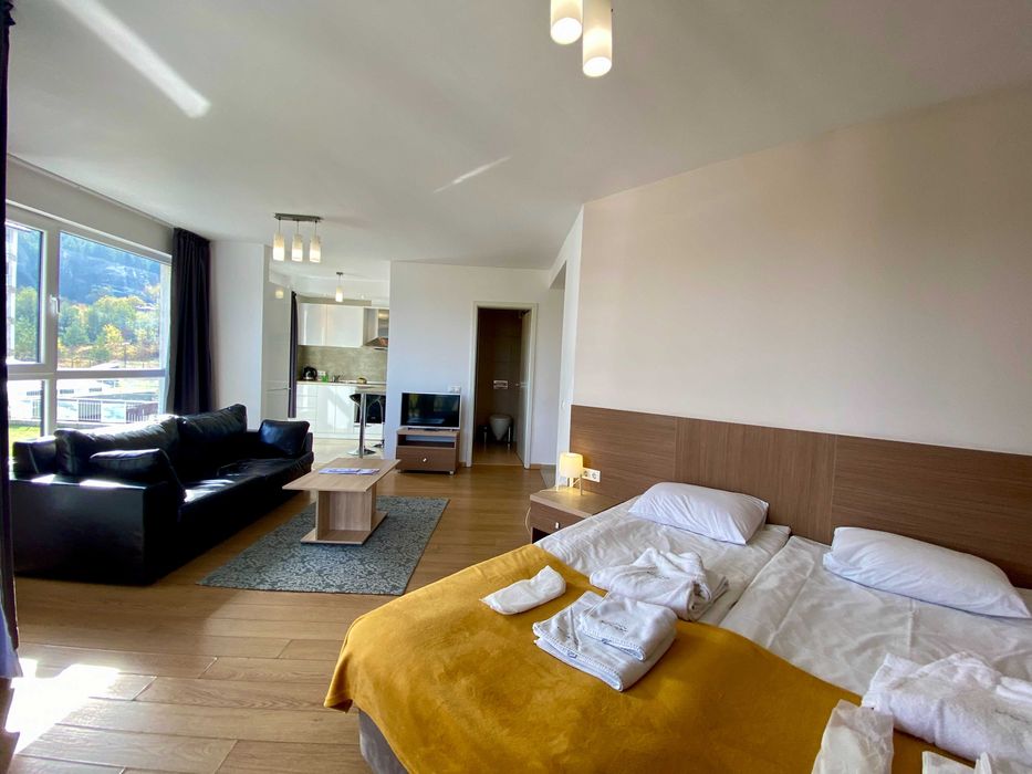 Продава се Едностаен апартамент в Банско - 67 кв.м за 900 €/кв.м - Снимка #6