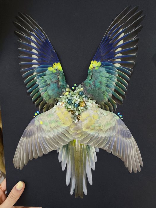 Композиция из птичьих крыльев